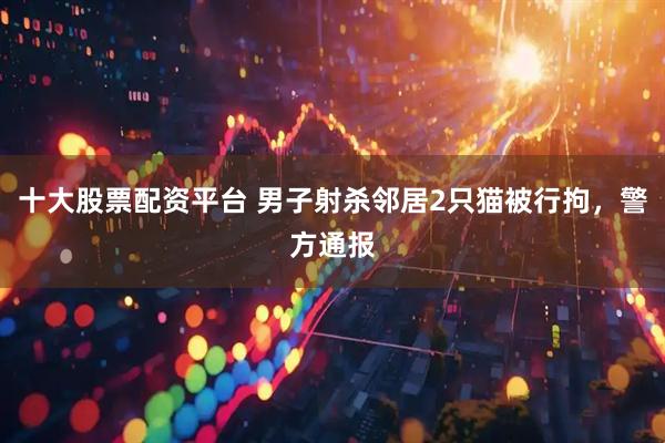 十大股票配资平台 男子射杀邻居2只猫被行拘，警方通报