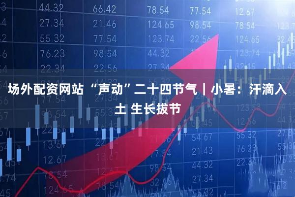 场外配资网站 “声动”二十四节气｜小暑：汗滴入土 生长拔节