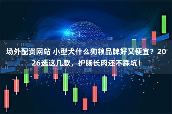 场外配资网站 小型犬什么狗粮品牌好又便宜？2026选这几款，护肠长肉还不踩坑！